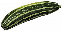 Squash eller Zucchini