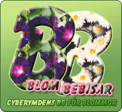 Blombebisar - Hr byter vi fr, sticklingar, plantor, lkar, skott, trdgrdsredskap, blomjord, trdgrdsfyllning, stenar, buskar, blommor, gdsel, rter, frn mm. Och s klart en massa prat om att odla.